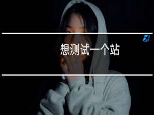 想测试一个站，下载你们网站管理助手