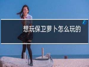 想玩保卫萝卜怎么玩的