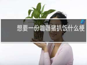 想要一份咖喱猪扒饭什么梗