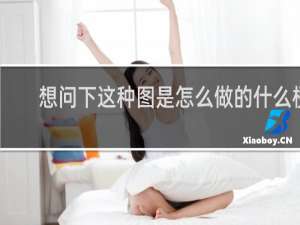 想问下这种图是怎么做的什么梗
