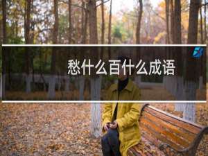 愁什么百什么成语