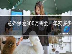 意外保险300万需要一年交多少钱