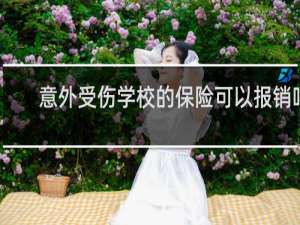 意外受伤学校的保险可以报销吗