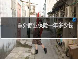 意外商业保险一年多少钱