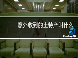 意外收到的土特产叫什么