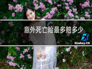 意外死亡险最多赔多少