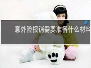 意外险报销需要准备什么材料