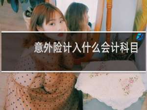 意外险计入什么会计科目