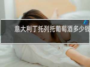 意大利丁托列托葡萄酒多少钱