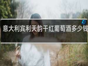 意大利宾利天韵干红葡萄酒多少钱一支