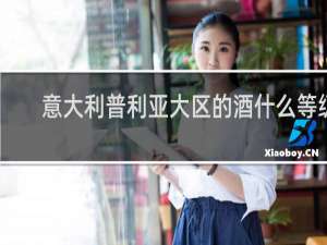 意大利普利亚大区的酒什么等级