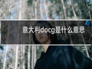 意大利docg是什么意思
