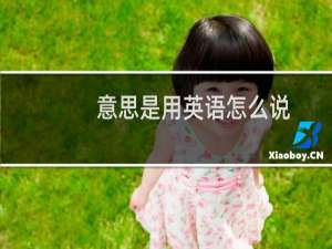 意思是用英语怎么说