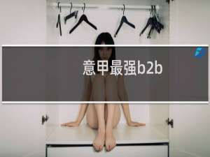 意甲最强b2b