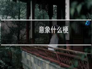 意象什么梗