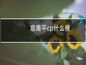 意难平cp什么梗？什么梗