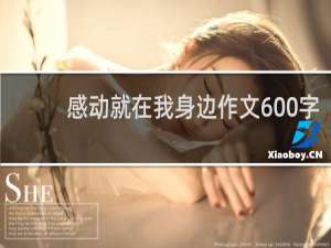 感动就在我身边作文600字