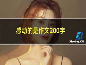 感动的是作文200字