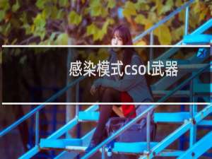 感染模式csol武器