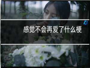 感觉不会再爱了什么梗