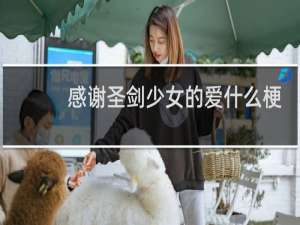 感谢圣剑少女的爱什么梗