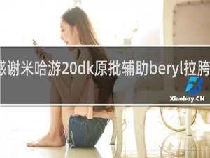 感谢米哈游 dk原批辅助beryl拉胯什么梗