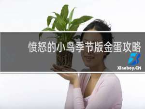 愤怒的小鸟季节版金蛋攻略