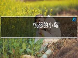愤怒的小鸟 进化攻略视频