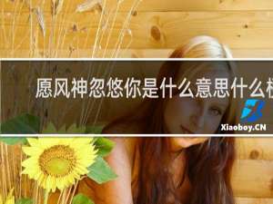 愿风神忽悠你是什么意思什么梗