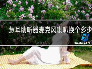 慧耳助听器麦克风喇叭换个多少钱