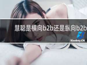 慧聪是横向b2b还是纵向b2b