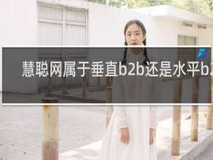 慧聪网属于垂直b2b还是水平b2b