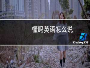 懂吗英语怎么说