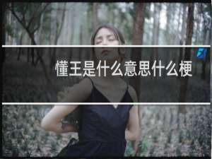 懂王是什么意思什么梗