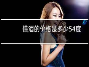 懂酒的价格是多少54度