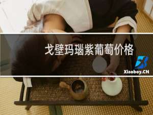 戈壁玛瑙紫葡萄价格
