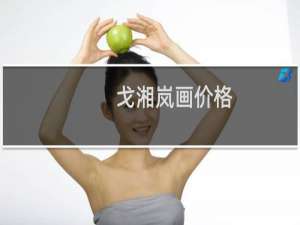 戈湘岚画价格