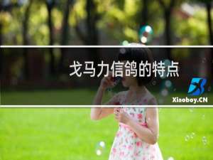 戈马力信鸽的特点