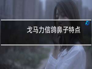 戈马力信鸽鼻子特点