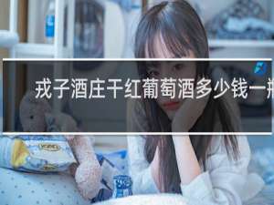 戎子酒庄干红葡萄酒多少钱一瓶