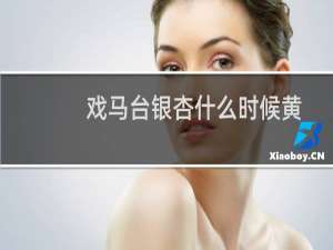 戏马台银杏什么时候黄