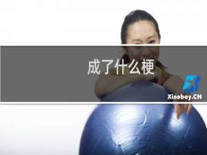 成了什么梗