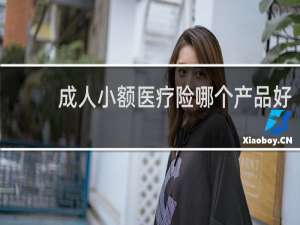 成人小额医疗险哪个产品好