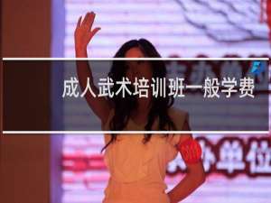 成人武术培训班一般学费多少