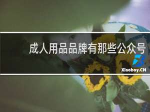 成人用品品牌有那些公众号