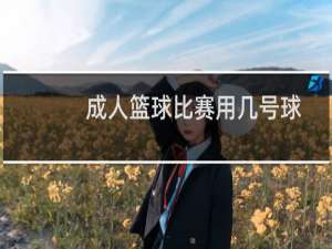 成人篮球比赛用几号球