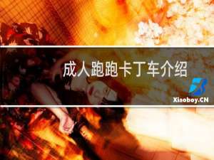 成人跑跑卡丁车介绍