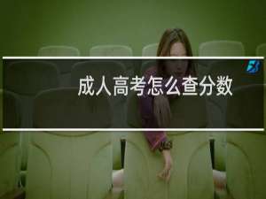 成人高考怎么查分数
