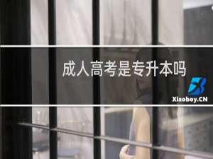 成人高考是专升本吗