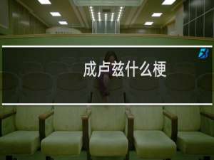 成卢兹什么梗